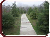 STEMLA 2004 Camp